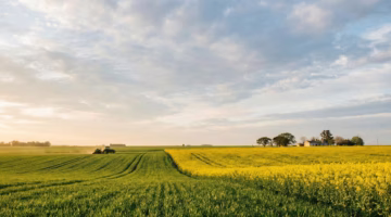 Baja retenciones al agro argentino 2025