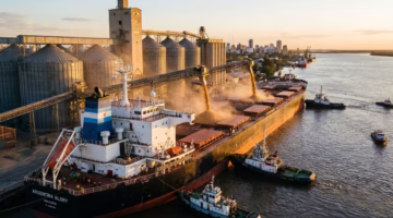 EXPORTACION TRIGO ARGENTINA